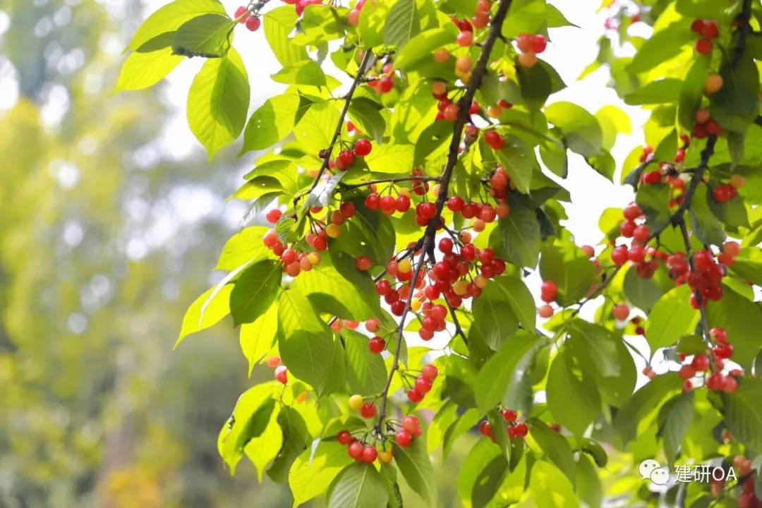 1628065952489583.jpg 640.webp (3).jpg