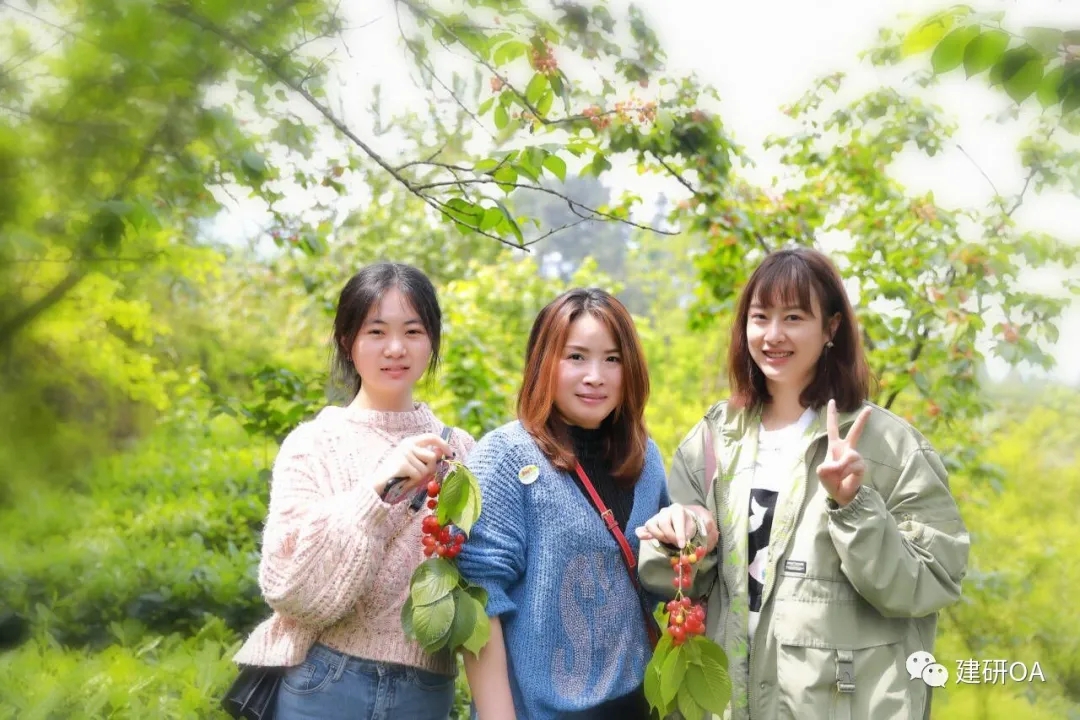 1628065955242866.jpg 640.webp (4).jpg